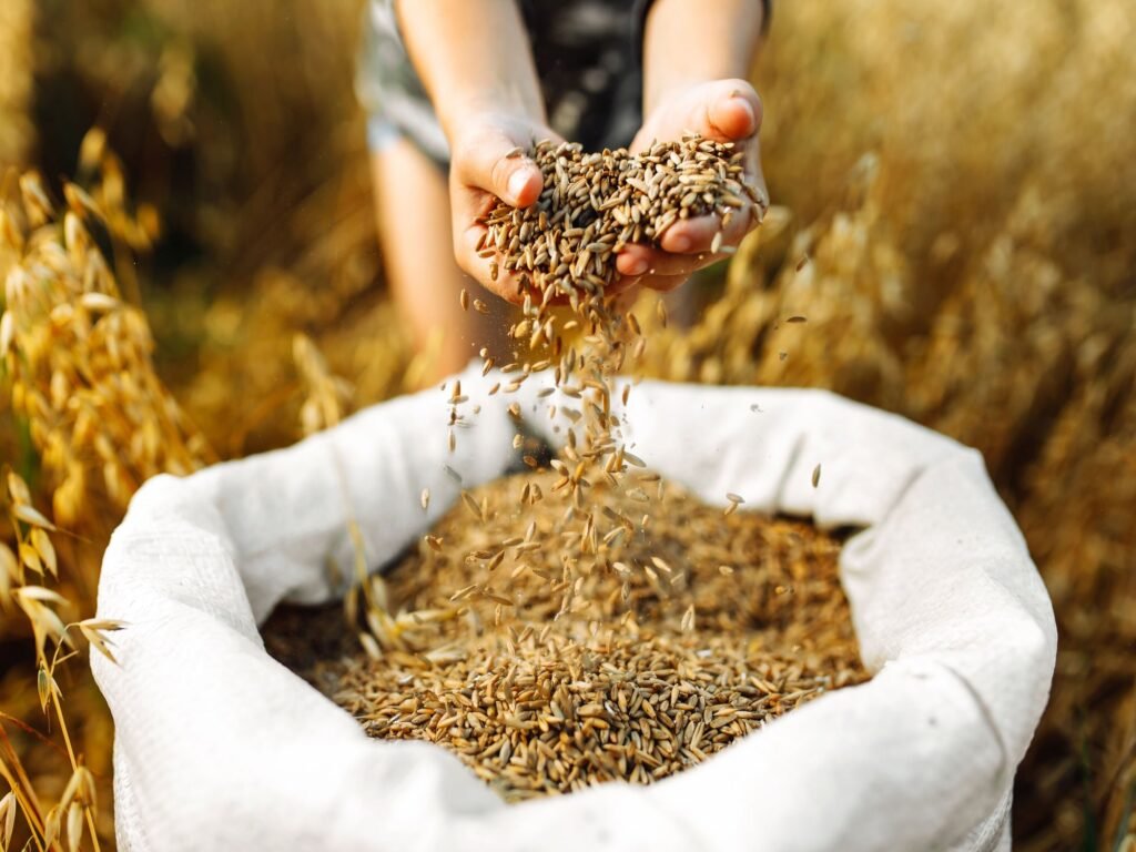 Animal Scientist, Dr Funmilayo Ogunleke, on Saturday called on sheep/goat farmers to improve their production to feed the country’s growing population.
